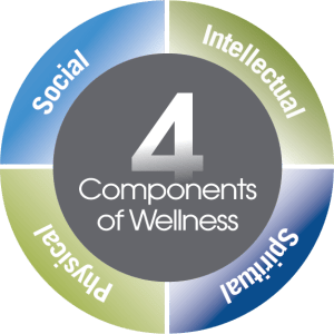 four components of wellness senior living