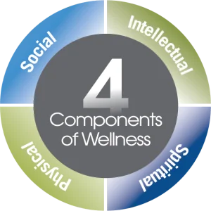 four components of wellness senior living